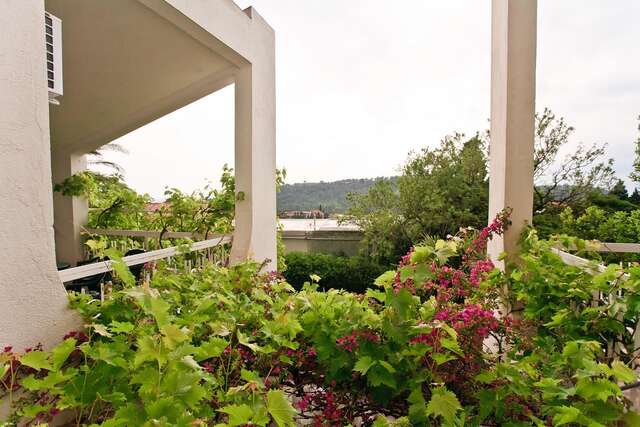 Гостевой дом Villa Lotos Сутоморе-6